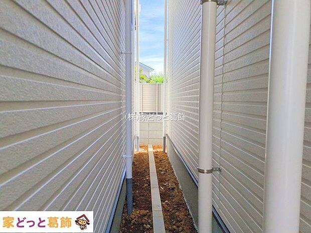 撮影日(2025-10-08 00:00:00)