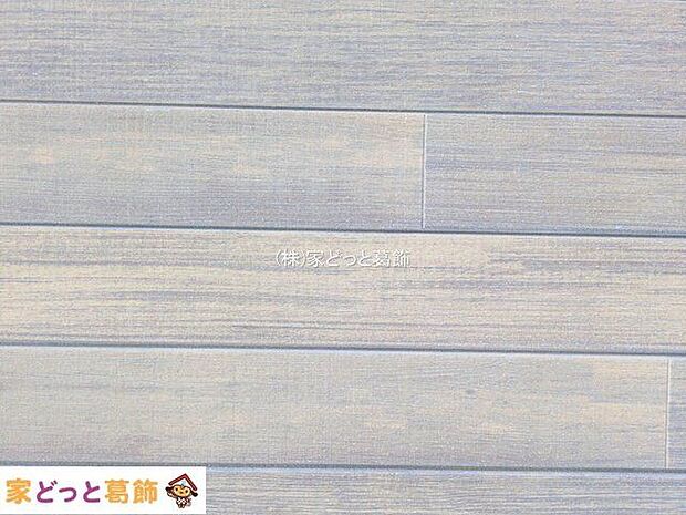 撮影日(2025-10-08 00:00:00)