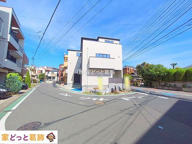 撮影日(2025-10-08)