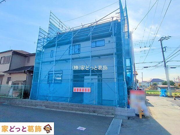 撮影日(2025-11-27 00:00:00)