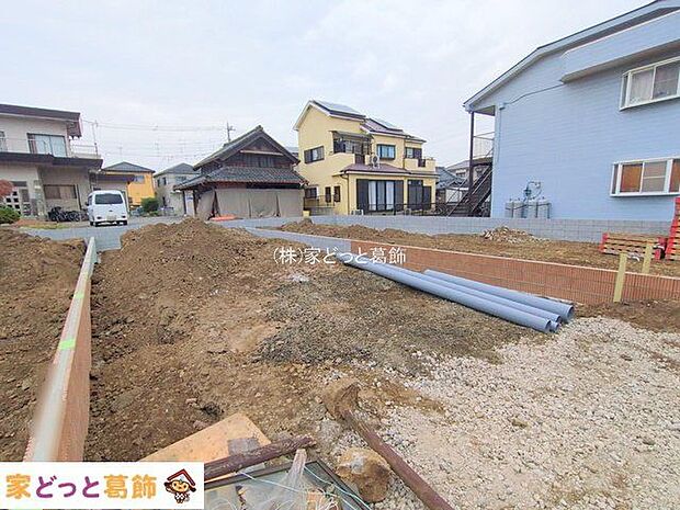 撮影日(2025-12-03 00:00:00)