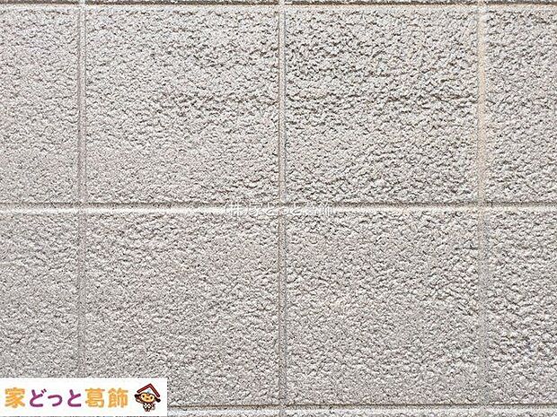 撮影日(2026-01-06 00:00:00)