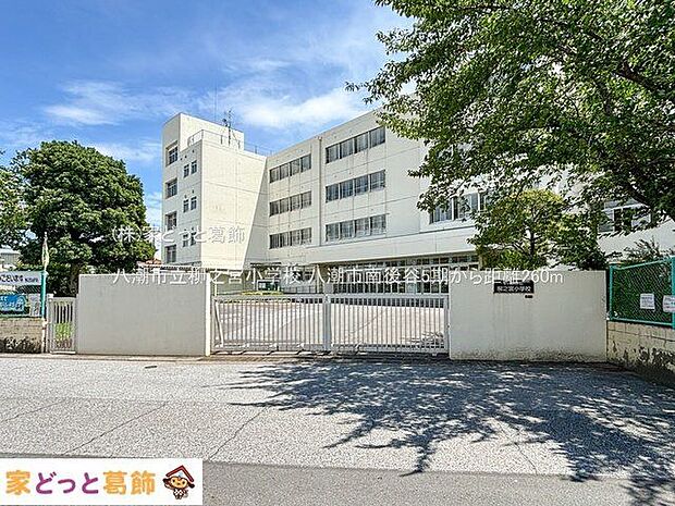 八潮市立柳之宮小学校 撮影日(2024-07-09) 260m