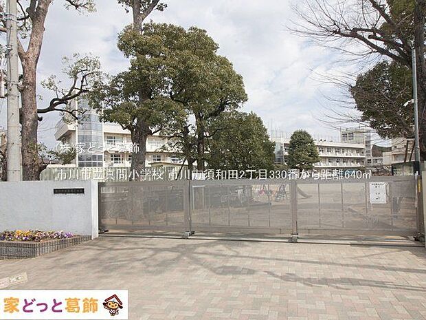 市川市立真間小学校 撮影日(2023-03-10) 640m