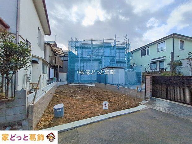 撮影日(2026-01-19 00:00:00)