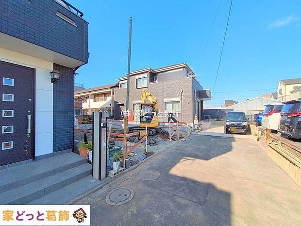 撮影日(2025-11-19 00:00:00)