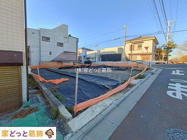 撮影日(2026-01-23 00:00:00)