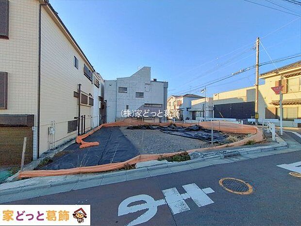 撮影日(2026-01-23 00:00:00)