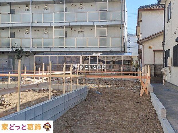 撮影日(2026-01-22 00:00:00)