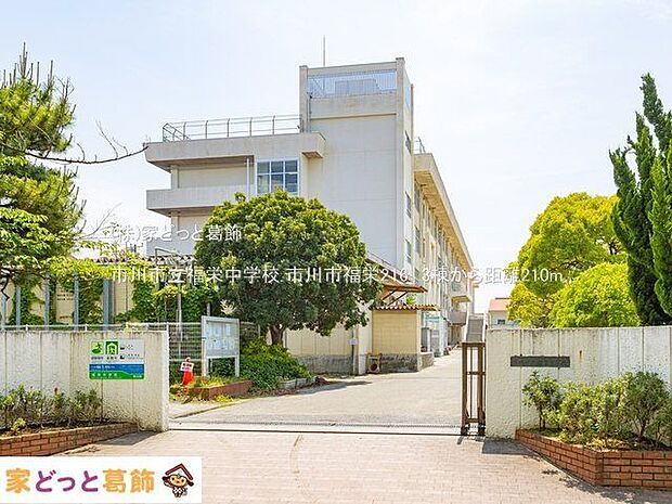 市川市立福栄中学校 撮影日(2022-05-18) 210m