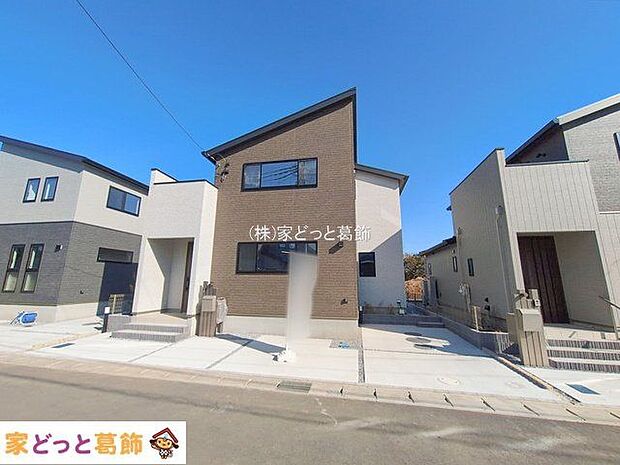 撮影日(2026-02-04 00:00:00)