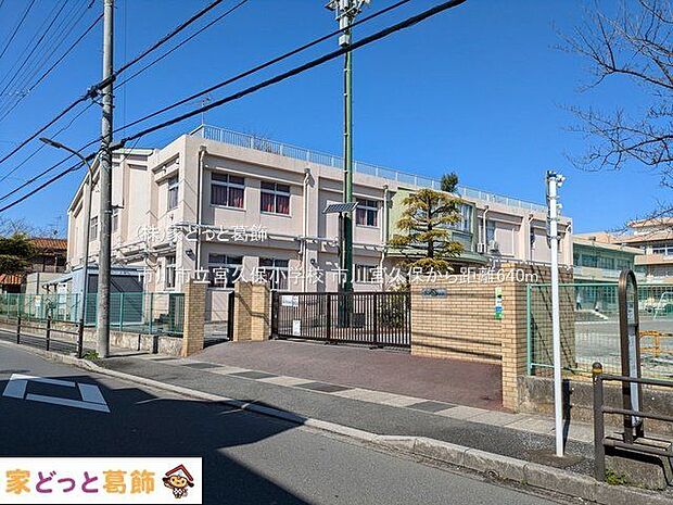 市川市立宮久保小学校 撮影日(2025-03-17) 640m