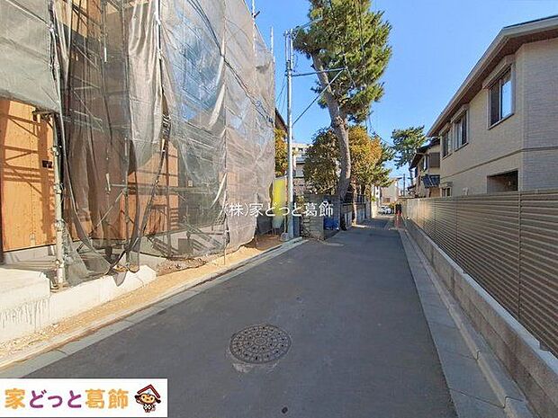 撮影日(2026-01-26 00:00:00)