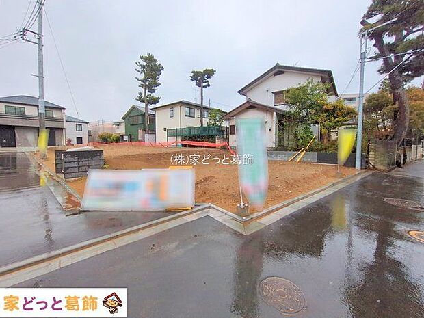 撮影日(2025-04-01 00:00:00)