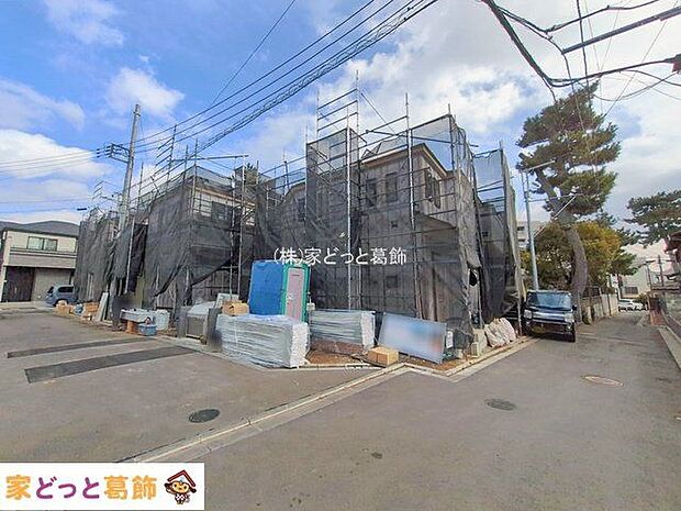 撮影日(2026-02-18)