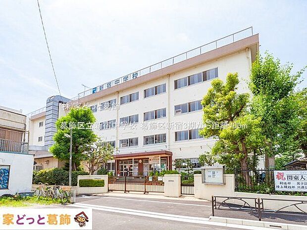 葛飾区立新宿中学校 撮影日(2021-07-12) 700m