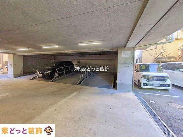 撮影日(2026-01-13 00:00:00)
