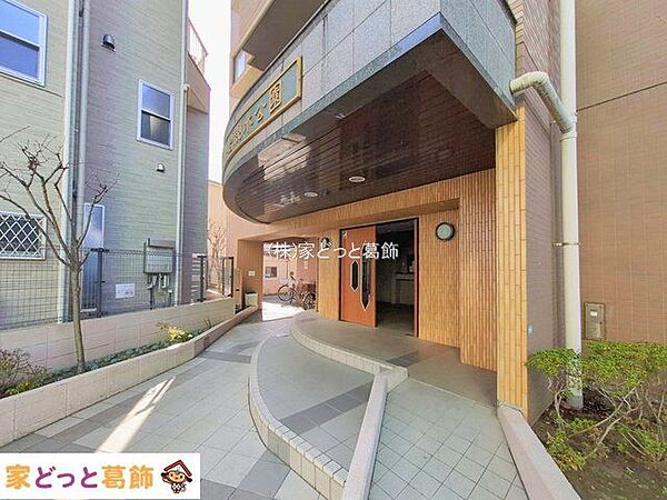 撮影日(2026-01-13 00:00:00)