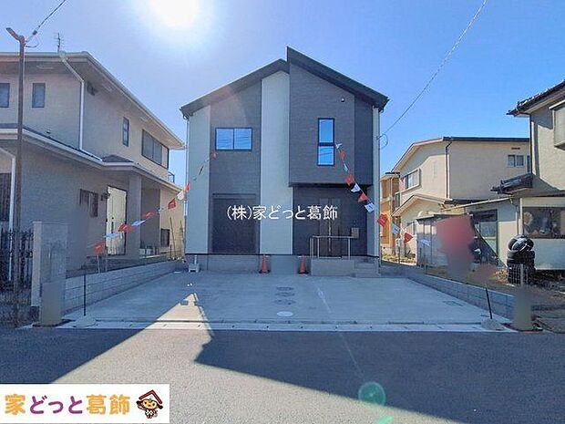 撮影日(2026-02-19 00:00:00)