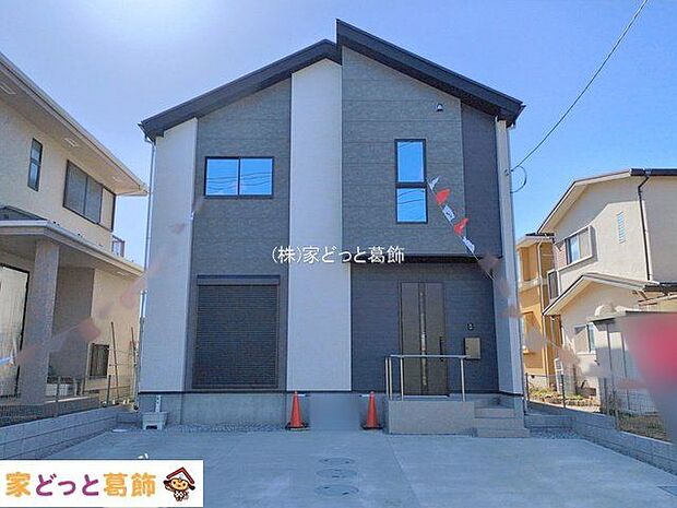 撮影日(2026-02-19 00:00:00)