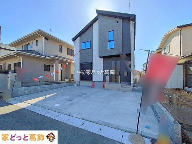 撮影日(2026-02-19 00:00:00)