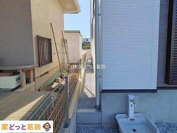 撮影日(2026-02-19 00:00:00)