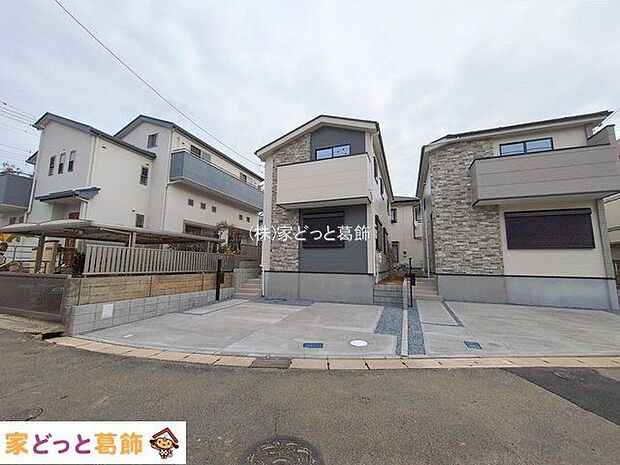 撮影日(2026-02-20)