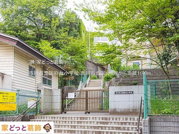 市川市立国府台小学校 撮影日(2022-04-26) 1100m