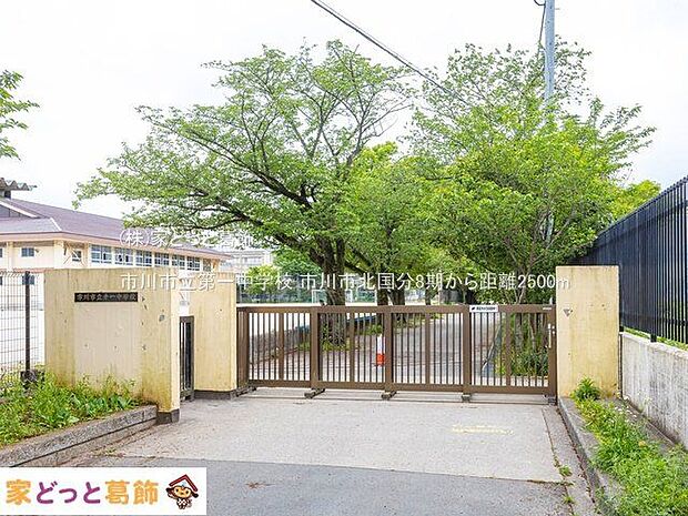 市川市立第一中学校 撮影日(2022-04-26) 2500m