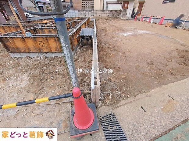 撮影日(2026-02-20 00:00:00)