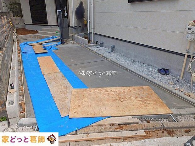 撮影日(2026-02-20 00:00:00)