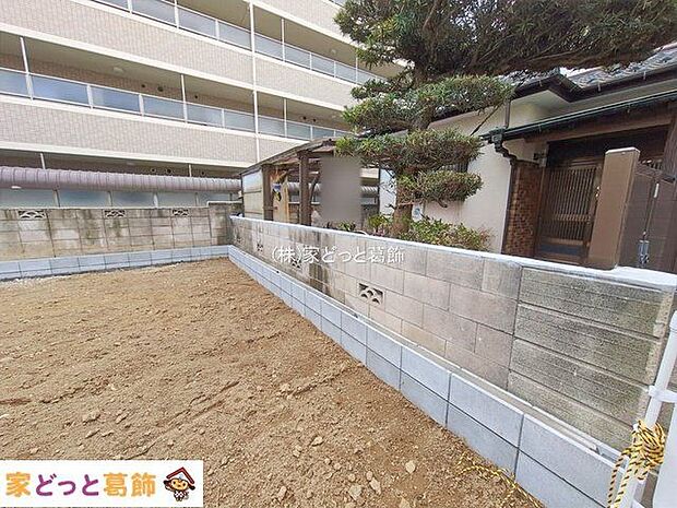 撮影日(2026-02-16 00:00:00)