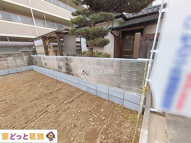 撮影日(2026-02-16 00:00:00)