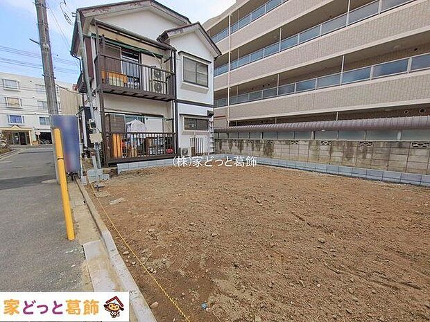 撮影日(2026-02-16 00:00:00)