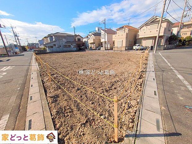 撮影日(2025-11-19 00:00:00)