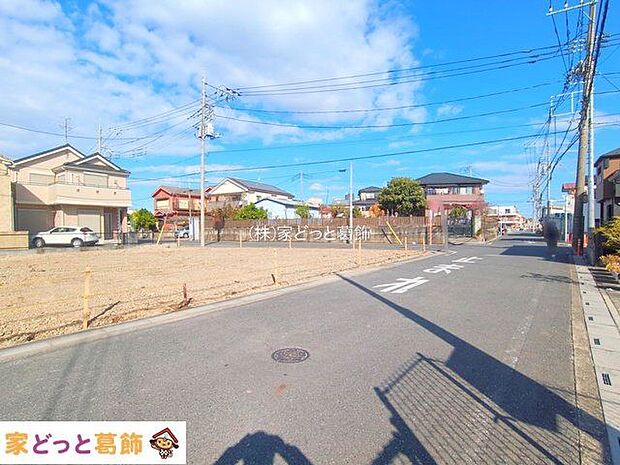 撮影日(2025-11-19 00:00:00)