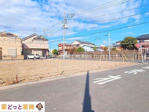 撮影日(2025-11-19 00:00:00)