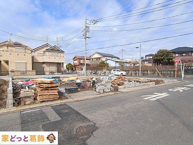 撮影日(2026-02-17 00:00:00)