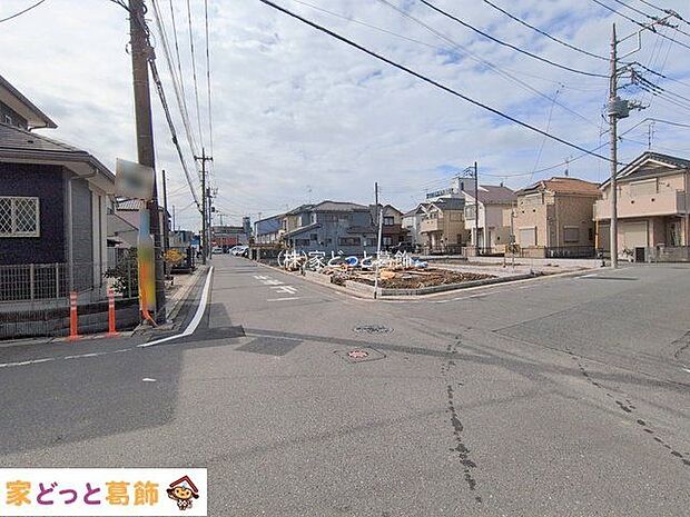 撮影日(2026-02-17 00:00:00)