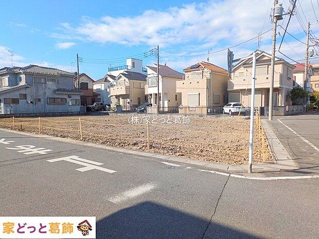 撮影日(2025-11-19 00:00:00)