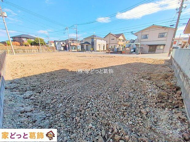 撮影日(2025-11-19 00:00:00)