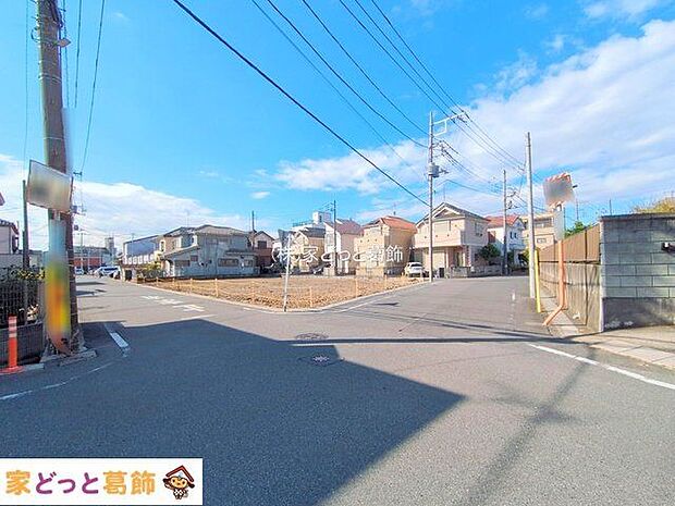 撮影日(2025-11-19 00:00:00)