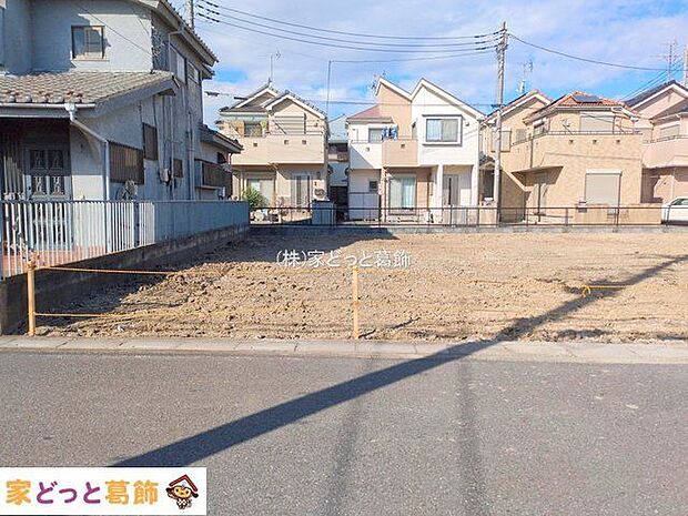 撮影日(2025-11-19 00:00:00)