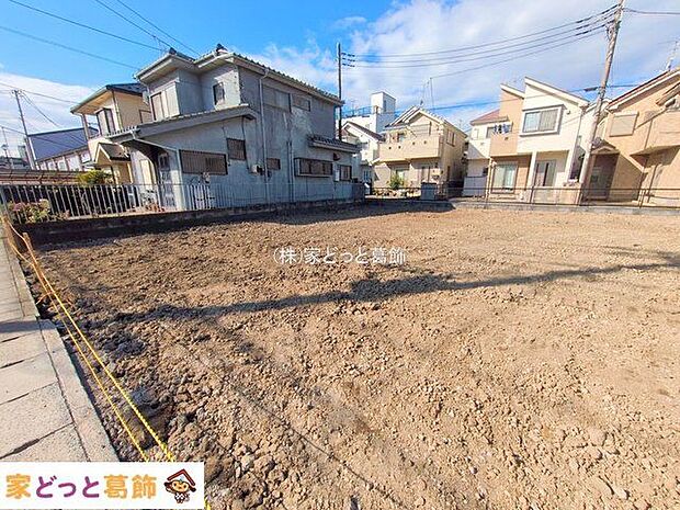 撮影日(2025-11-19 00:00:00)