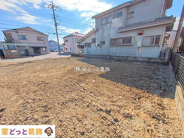 撮影日(2025-11-19 00:00:00)