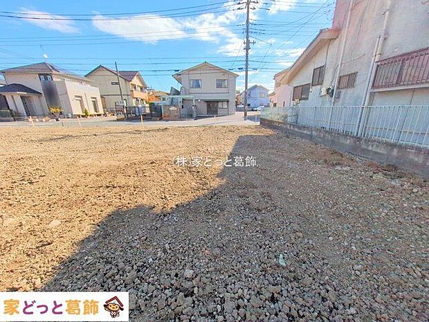 撮影日(2025-11-19 00:00:00)