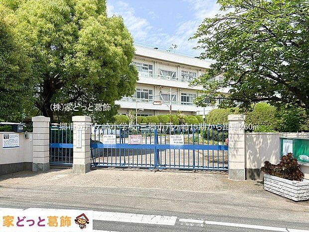 三郷市立戸ケ崎小学校 撮影日(2024-05-21) 260m