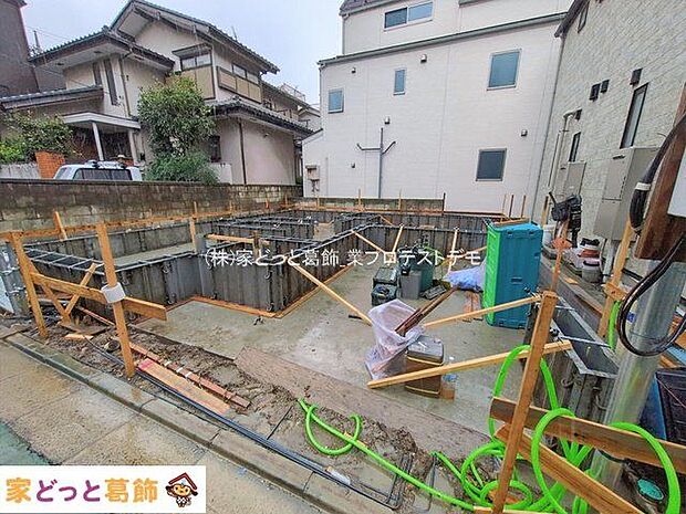 撮影日(2026-02-25 00:00:00)