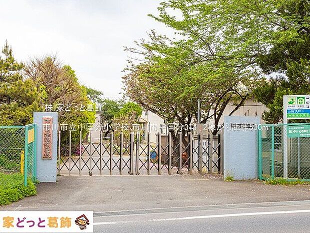 市川市立中国分小学校 撮影日(2022-04-26) 500m