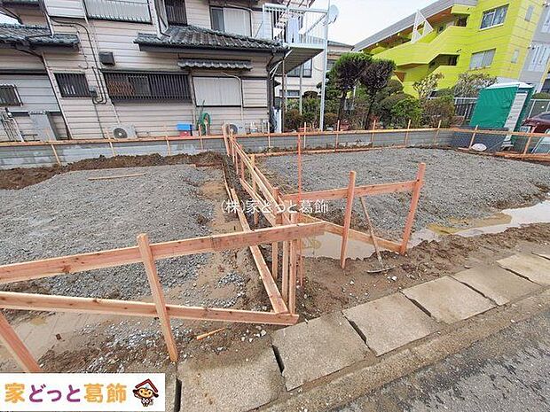 撮影日(2026-02-26 00:00:00)